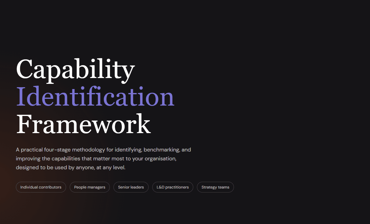 Capability framework demo showing the interactive report layout and capability model content